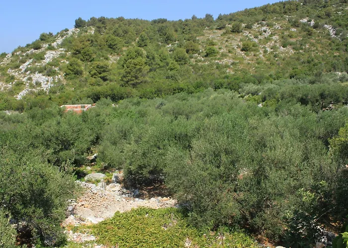 Apartment Seaside Secluded Cove Dragnjevica - Telascica, Dugi Otok - 8140 Sali