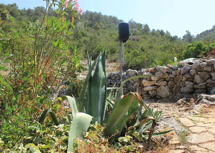 Seaside Secluded Cove Dragnjevica - Telascica, Dugi Otok - 8140 * Сали